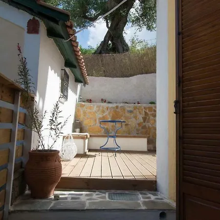 Olive Tree * Argassi